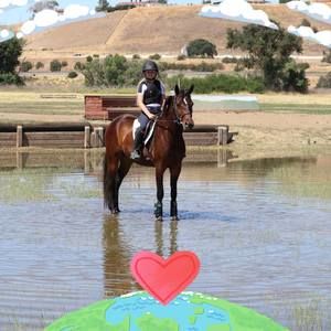 Meet your Posher, Jessica